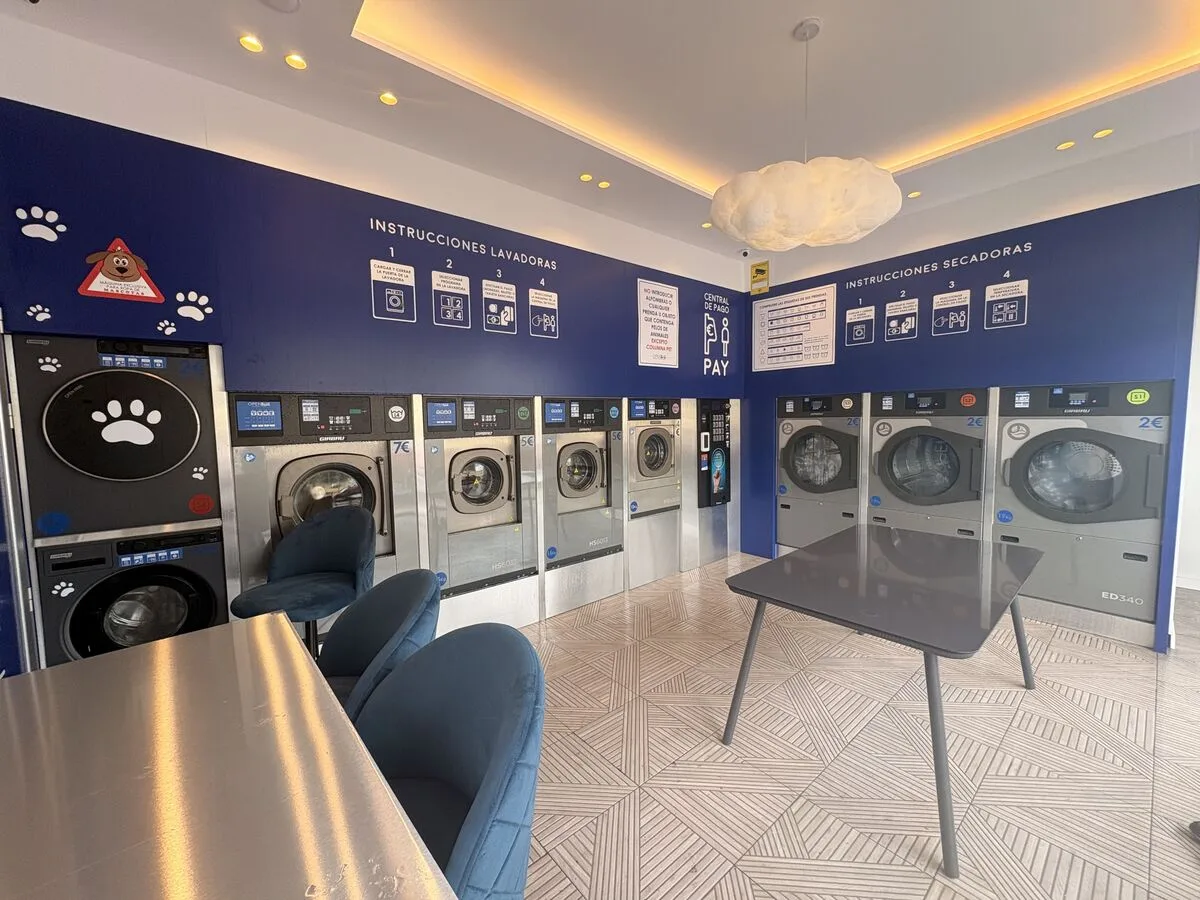 Interior de OpenBlue Malpica: lavadoras, zona mascotas y ambiente luminoso